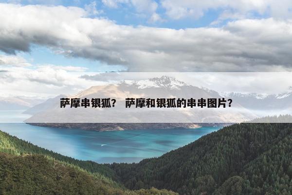 萨摩串银狐？ 萨摩和银狐的串串图片？