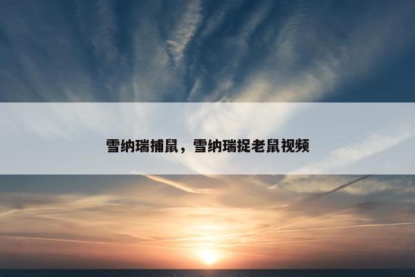 雪纳瑞捕鼠，雪纳瑞捉老鼠视频