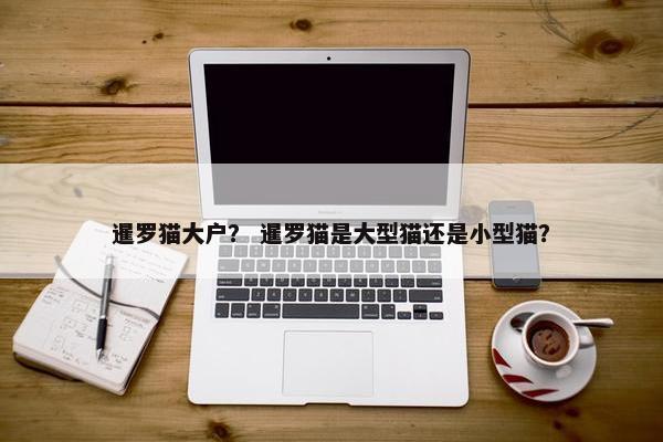 暹罗猫大户？ 暹罗猫是大型猫还是小型猫？