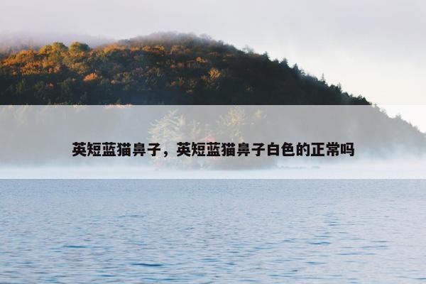 英短蓝猫鼻子，英短蓝猫鼻子白色的正常吗
