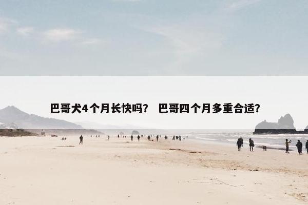 巴哥犬4个月长快吗？ 巴哥四个月多重合适？