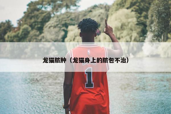 龙猫脓肿（龙猫身上的脓包不治）