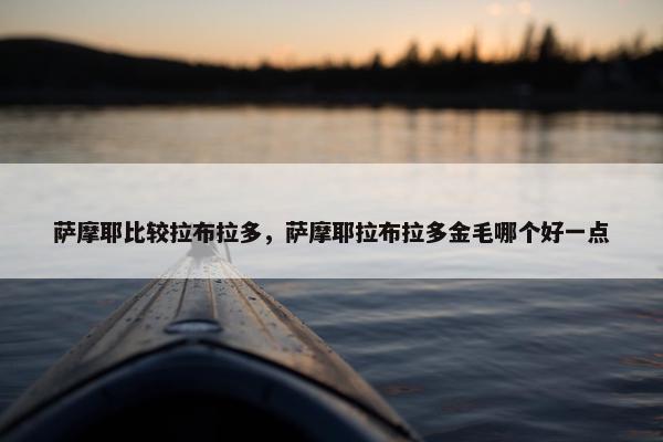 萨摩耶比较拉布拉多，萨摩耶拉布拉多金毛哪个好一点