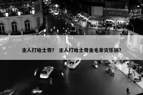 主人打哈士奇？ 主人打哈士奇金毛幸灾乐祸？