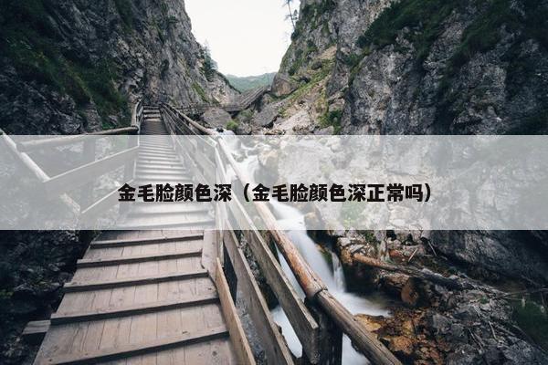 金毛脸颜色深（金毛脸颜色深正常吗）