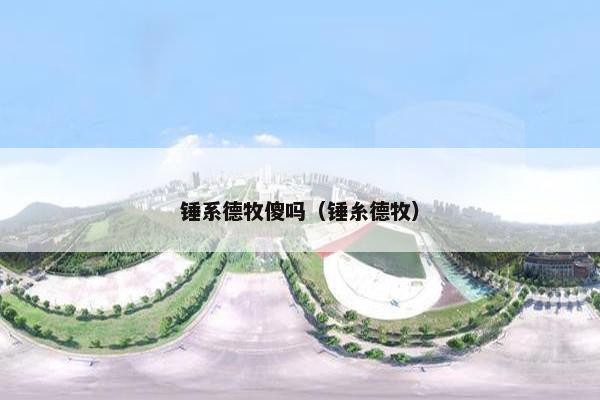 锤系德牧傻吗（锤糸德牧）