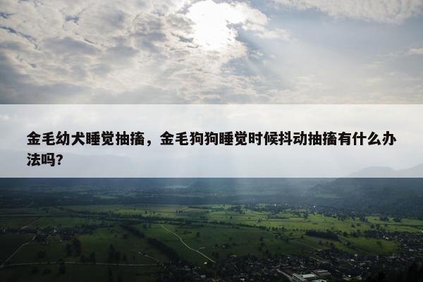 金毛幼犬睡觉抽搐，金毛狗狗睡觉时候抖动抽搐有什么办法吗?