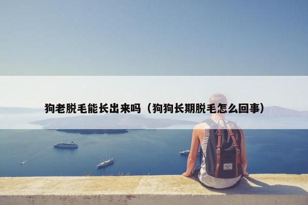 狗老脱毛能长出来吗（狗狗长期脱毛怎么回事）