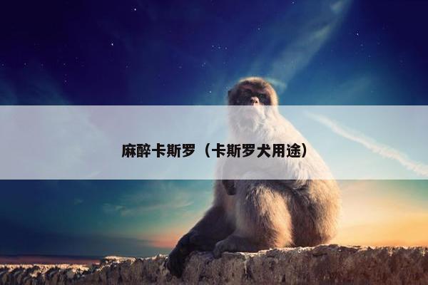 麻醉卡斯罗（卡斯罗犬用途）