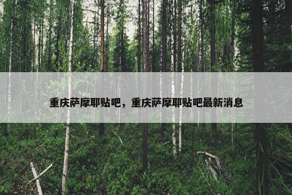 重庆萨摩耶贴吧，重庆萨摩耶贴吧最新消息