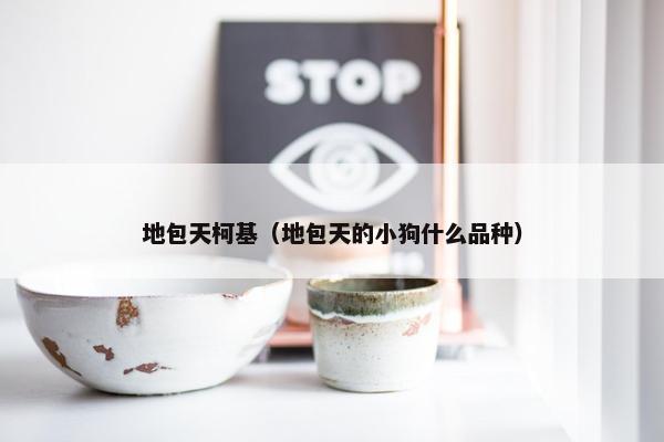 地包天柯基（地包天的小狗什么品种）