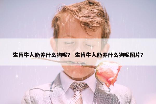 生肖牛人能养什么狗呢？ 生肖牛人能养什么狗呢图片？