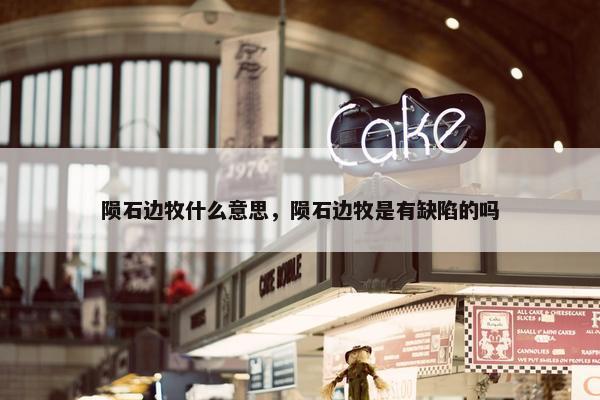 陨石边牧什么意思，陨石边牧是有缺陷的吗