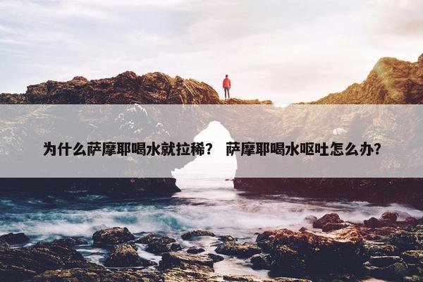 为什么萨摩耶喝水就拉稀？ 萨摩耶喝水呕吐怎么办？