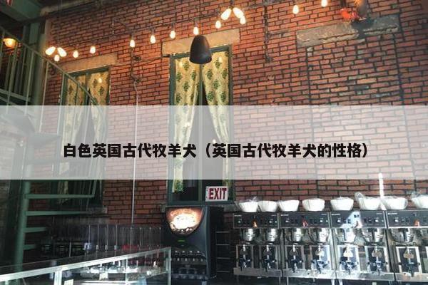 白色英国古代牧羊犬（英国古代牧羊犬的性格）