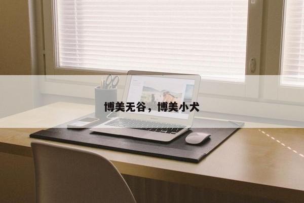 博美无谷，博美小犬