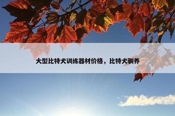 大型比特犬训练器材价格，比特犬驯养