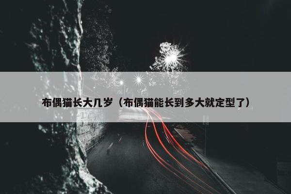 布偶猫长大几岁（布偶猫能长到多大就定型了）
