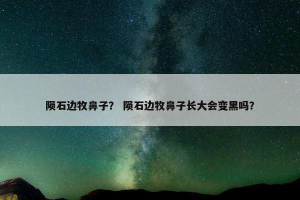 陨石边牧鼻子？ 陨石边牧鼻子长大会变黑吗？