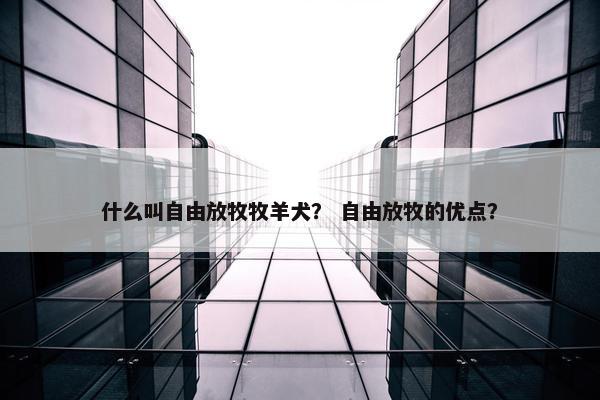什么叫自由放牧牧羊犬？ 自由放牧的优点？