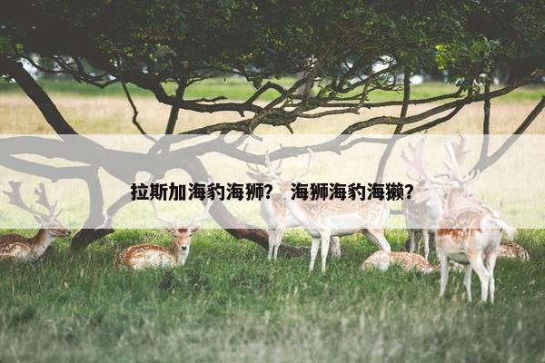 拉斯加海豹海狮？ 海狮海豹海獭？