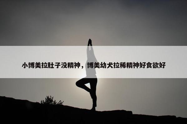 小博美拉肚子没精神，博美幼犬拉稀精神好食欲好