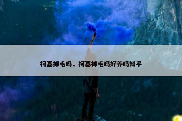 柯基掉毛吗，柯基掉毛吗好养吗知乎