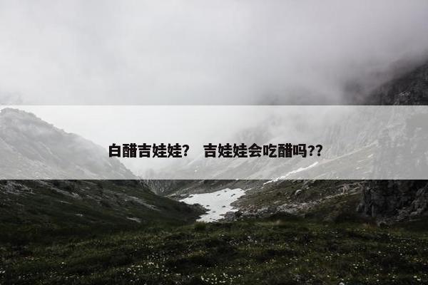 白醋吉娃娃？ 吉娃娃会吃醋吗?？