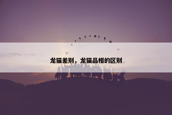 龙猫差别，龙猫品相的区别