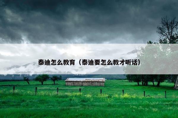 泰迪怎么教育（泰迪要怎么教才听话）