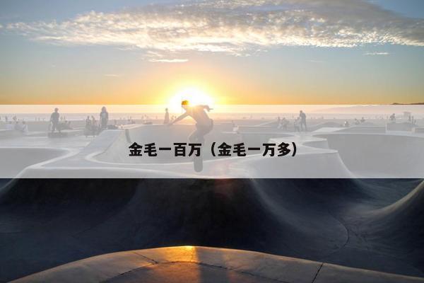 金毛一百万（金毛一万多）
