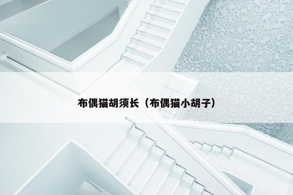 布偶猫胡须长（布偶猫小胡子）
