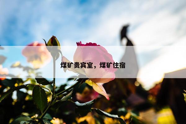 煤矿贵宾室，煤矿住宿