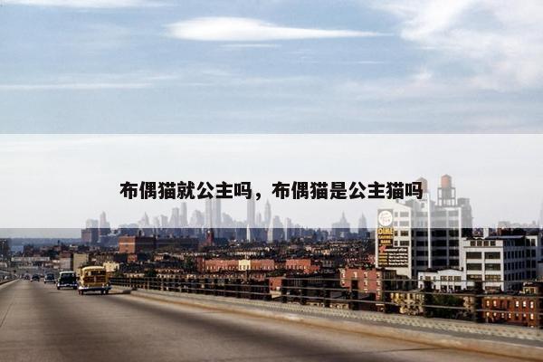 布偶猫就公主吗，布偶猫是公主猫吗