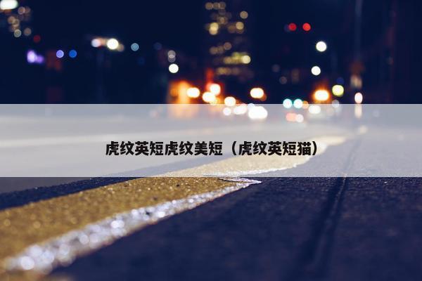 虎纹英短虎纹美短（虎纹英短猫）