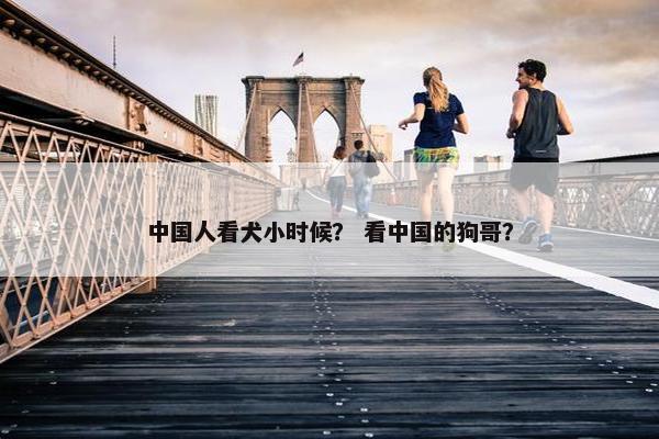 中国人看犬小时候？ 看中国的狗哥？