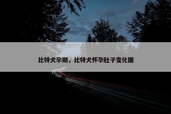 比特犬孕期，比特犬怀孕肚子变化图