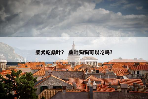 柴犬吃桑叶？ 桑叶狗狗可以吃吗？