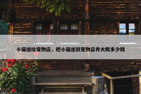 小猫送给宠物店，把小猫送到宠物店养大概多少钱