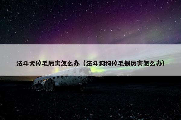 法斗犬掉毛厉害怎么办（法斗狗狗掉毛很厉害怎么办）