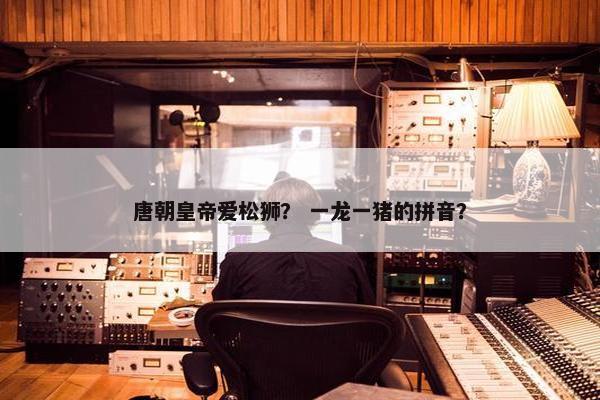 唐朝皇帝爱松狮？ 一龙一猪的拼音？