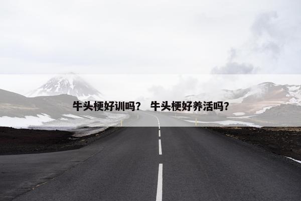 牛头梗好训吗？ 牛头梗好养活吗？