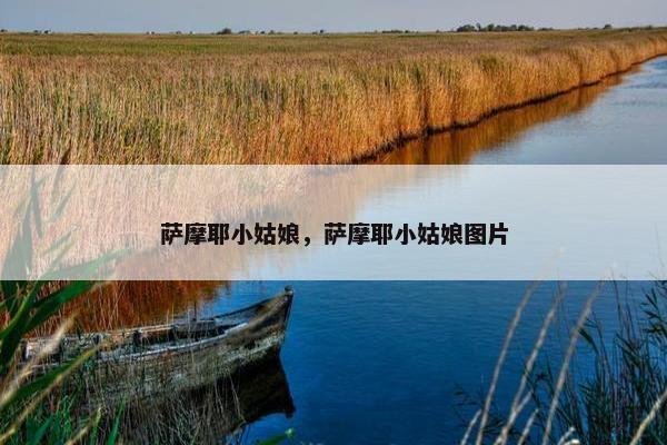 萨摩耶小姑娘，萨摩耶小姑娘图片