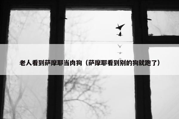 老人看到萨摩耶当肉狗（萨摩耶看到别的狗就跑了）