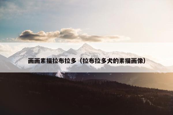 画画素描拉布拉多（拉布拉多犬的素描画像）