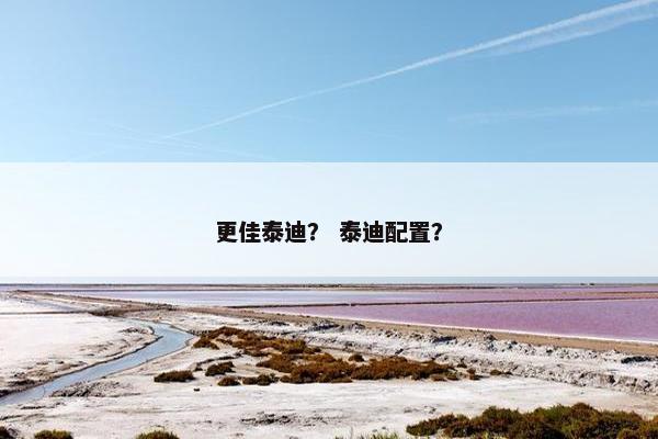 更佳泰迪？ 泰迪配置？