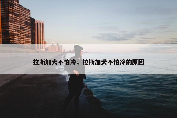 拉斯加犬不怕冷，拉斯加犬不怕冷的原因
