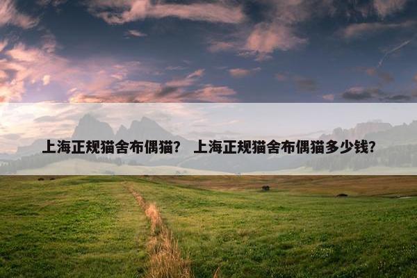 上海正规猫舍布偶猫？ 上海正规猫舍布偶猫多少钱？
