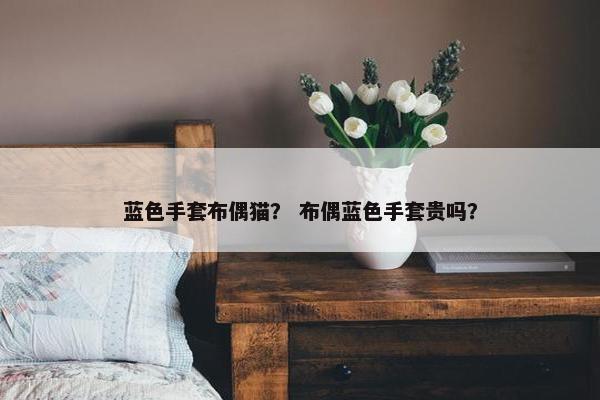 蓝色手套布偶猫？ 布偶蓝色手套贵吗？