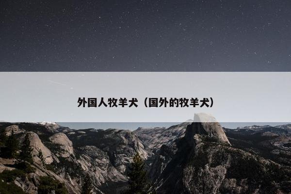 外国人牧羊犬（国外的牧羊犬）